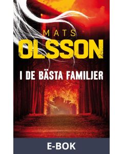 I de bästa familjer, E-bok