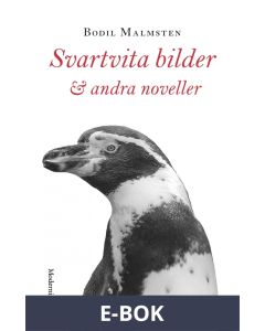 Svartvita bilder och andra noveller, E-bok