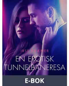 En erotisk tunnelbaneresa - erotisk novell, E-bok
