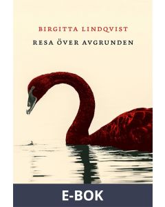 Resa över avgrunden, E-bok