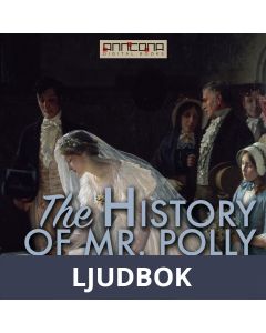 The History of Mr. Polly, Ljudbok