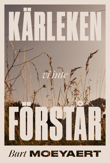 Kärleken Vi Inte Förstår