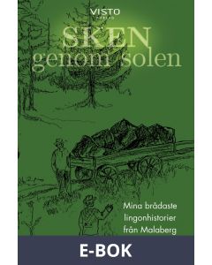 Sken genom solen, E-bok