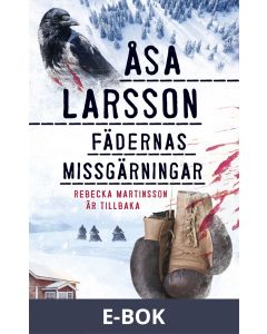 Fädernas missgärningar, E-bok