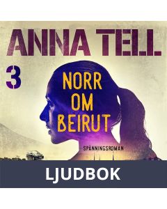 Norr om Beirut, Ljudbok