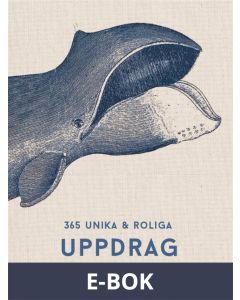 365 unika och roliga uppdrag FYLLA-I-BOK (PDF), E-bok