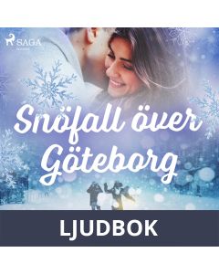 Snöfall över Göteborg, Ljudbok