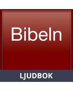Bibeln som ljudbok (Bibel 2000), Ljudbok