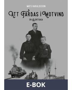 Att färdas i motvind, E-bok