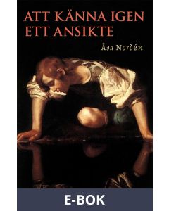 Att känna igen ett ansikte, E-bok