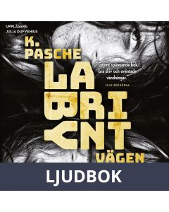 Labyrint - vägen in, Ljudbok