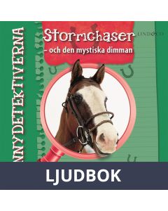 Ponnydetektiverna. Stormchaser - och den mystiska dimman, Ljudbok