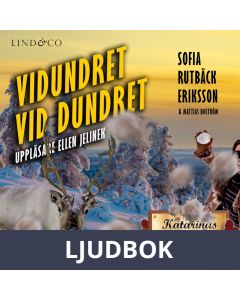 Vidundret vid Dundret, Ljudbok