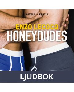 Honeydudes, Ljudbok