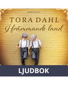 I främmande land, Ljudbok