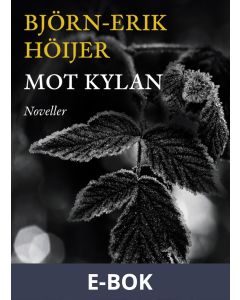Mot kylan : Noveller, E-bok