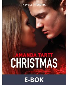 Christmas, E-bok