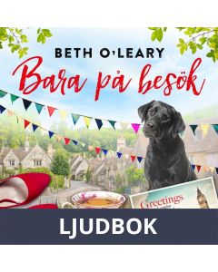 Bara på besök, Ljudbok