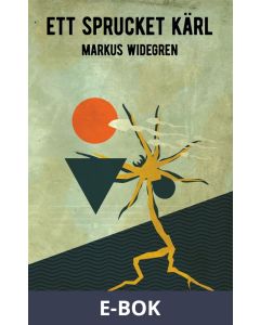 Ett sprucket kärl, E-bok