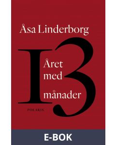 Året med 13 månader, E-bok