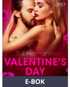Valentine s Day: Amanda, E-bok
