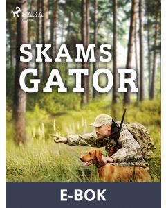 Skams gator, E-bok