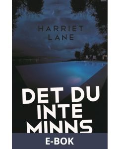 Det du inte minns, E-bok