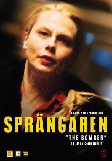 Liza Marklund / Sprängaren