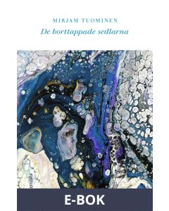 De borttappade sedlarna, E-bok