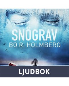 Snögrav, Ljudbok