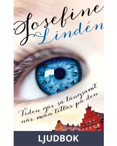 Tiden går så långsamt när man tittar på den, Ljudbok