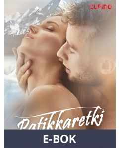 Patikkaretki, E-bok