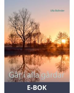 Går i alla gårdar, E-bok