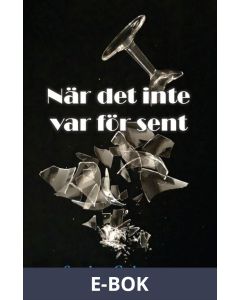 När det inte var för sent, E-bok