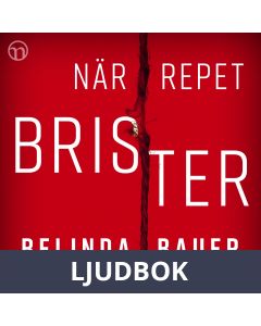 När repet brister, Ljudbok