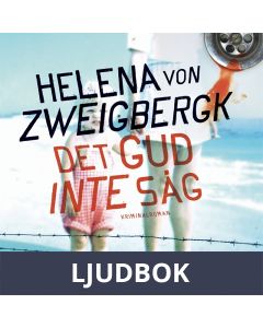 Det gud inte såg, Ljudbok