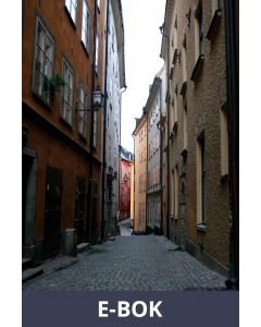 En helg i stan, E-bok