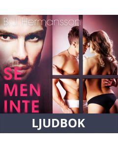 Se men inte röra - erotisk novell, Ljudbok