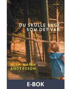 Du skulle sagt som det var, E-bok