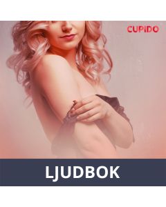 Sokea intohimo - eroottinen novelli, Ljudbok