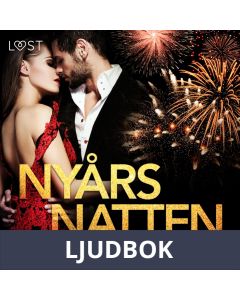 Nyårsnatten - erotisk novell, Ljudbok