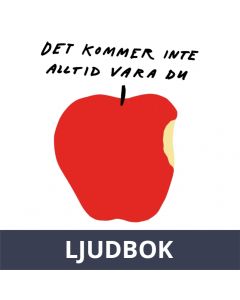 Det kommer inte alltid vara du, Ljudbok
