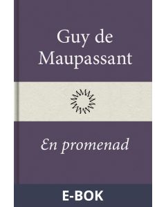 En promenad, E-bok