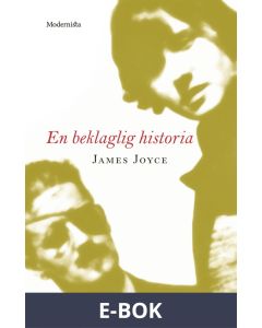 En beklaglig historia, E-bok