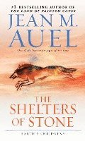 Shelters Of Stone