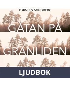 Gåtan på Granliden, Ljudbok