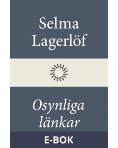 Osynliga länkar, E-bok