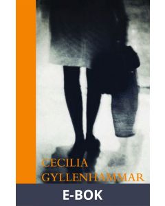 Sängkammartjuven, E-bok