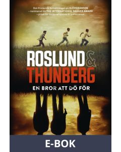 En bror att dö för, E-bok