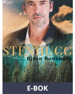 Stenhugg, E-bok
